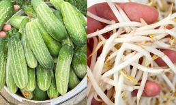 Mùa hè có 5 loại rau  độc hại bị phun nhiều hóa chất nhất, nhiều người Việt vẫn ăn hàng ngày