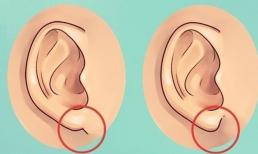 Tướng tai tiết lộ ai giàu sang phú quý, ai có cuộc đời lận đận, long đong! Xem qua là biết ngay kết quả