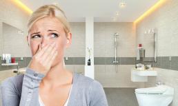Phòng tắm có quá nhiều mùi vào mùa hè? Dạy bạn một cách để tránh vi khuẩn và giữ không có mùi trong một năm