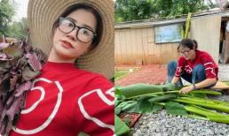 Hậu bị anti-fan đồn vào đường cùng, Trang Trần đi làm cỏ vườn kiếm từng đồng, nhận trợ cấp gần 80 triệu