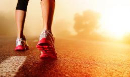 Tập thể dục có thực sự giúp bạn sống lâu hơn? Thỏ hoạt bát chỉ sống được hai năm nhưng rùa chậm di chuyển có thể sống hàng trăm năm