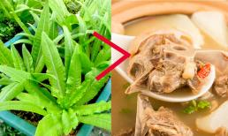 Mùa hè ăn rau này giàu canxi gấp 36 lần canh xương hầm, chợ Việt bán nhiều giá lại rẻ bèo 