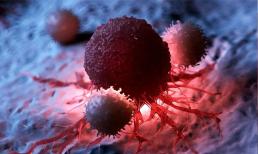 Đột phá về ung thư: Các nhà khoa học khám phá các tế bào T mới có tiềm năng loại bỏ ung thư