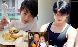 Con trai thứ 2 của Trương Bá Chi lột xác khi lớn lên, hồi nhỏ tưởng kém sắc nhưng hiện lại đẹp giống hệt Tạ Đình Phong
