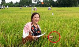 Bỏ nghề giáo viên, một nữ nông dân Tiền Giang bỏ túi 3 tỉ đồng/năm nhờ trồng lúa 'ngả theo chiều gió'