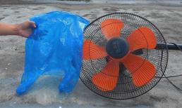 Đặt một chiếc túi nhựa lên quạt điện. Đây là một thủ thuật hay mà không cần phải tháo rời vệ sinh, nó sẽ trông như mới ngay lập tức