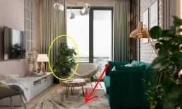 Nếu bạn không thiếu tiền, hãy quyết tâm mua 5 món đồ tốt này trong phòng khách để cải thiện chất lượng cuộc sống