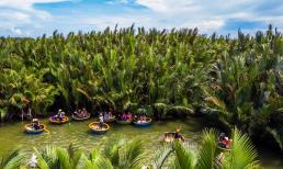 Tỉnh nào của Việt Nam có diện tích trồng dừa lớn nhất? 