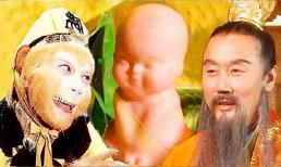 Trong 'Tây Du Ký', Trấn Nguyên Tử thực ra có thể tự cứu chữa cây nhân sâm, sao lại nhất quyết bắt Tôn Ngộ Không tìm thuốc giải?