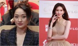 Cũng 49 tuổi nhưng sự khác biệt giữa Châu Tấn và Lâm Chí Linh quá rõ ràng, người 'lão hóa như vách đá', người như nữ thần
