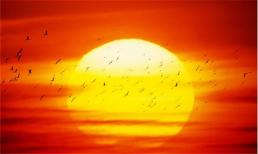 Vì sao mặt trời mọc vào ban ngày và lặn vào ban đêm?
