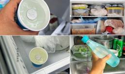 Trước khi đi du lịch đường dài, hãy nhớ bỏ một đồng xu vào tủ lạnh, đó không phải mê tín mà thực sự rất hữu ích đấy! 