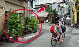 Đặt chậu cây cảnh trước nhà sai quy định có thể bị phạt từ 2 - 6 triệu đồng, bạn có mắc phải không?