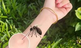 Muỗi ghét gì nhất? Hầu hết mọi người không biết! Dạy bạn 3 thủ thuật ngăn muỗi vào nhà 