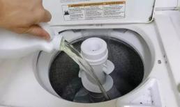 Đừng lơ là trong việc vệ sinh máy giặt! Học ngay mẹo sau đây, máy giặt nhà bạn sẽ sạch hoàn toàn