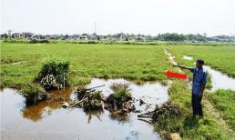 Trường hợp đất nông, lâm nghiệp nào sẽ bị nhà nước thu hồi từ ngày 1/8?