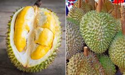 Sầu riêng nên mua loại có gai dày hay thưa? Người bán hàng lâu năm tiết lộ bí quyết chọn sầu riêng ngon nhất