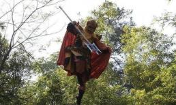 Trong 'Tây Du Ký', đây là yêu quái duy nhất dọa được Diêm Vương, khiến Như Lai bối rối, Ngọc Hoàng né tránh, nhưng chỉ sợ 1 người 