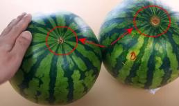 Người mua thường vỗ dưa hấu để chọn quả ngon ngọt, tại sao? 