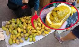 Đây không phải quả cóc, là loại quả rừng có vị ngọt như chuối, giá gần 100.000đ/kg