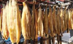 Loài 'cá tỷ đô' của Việt Nam được Mỹ và Trung Quốc 'mê như điếu đổ', dự kiến mang về 1,8 tỷ USD trong năm nay, sản lượng đứng đầu thế giới