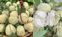 Na đang vào mùa, đây là cách chọn na và những ai không nên ăn?