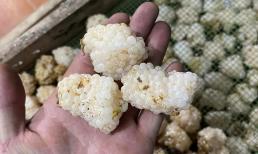 Loại trứng nhỏ xíu nhưng có giá 800.000 đồng/kg vẫn “cháy” hàng, là trứng gì?