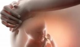 Khi trẻ nằm trong bụng mẹ, nước tiểu và phân trẻ thải ra sẽ đi đâu? Đừng cảm thấy ghê sau khi xem cái này