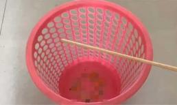 Bỏ đũa vào thùng rác có thể giải quyết vấn đề của mỗi gia đình, tiết kiệm tiền và rất thiết thực! Hãy thử áp dụng sau khi đọc bài viết này