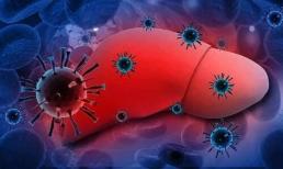 Bạn có bị nhiễm bệnh nếu ăn chung với người bị viêm gan B không? Trên thực tế, mối nguy hiểm thực sự là những hành vi này 