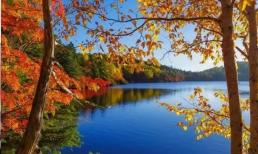 Khi nào lập Thu? Mùa thu năm nay rất đặc biệt, nó chỉ xảy ra một lần trong 60 năm và có ba đặc điểm chính