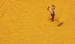 Trong vòng chưa đầy 10 năm nữa, ba hiện tượng kỳ lạ này có thể sẽ trở nên phổ biến hơn