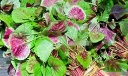 Nhiều người không biết rằng 4 loại rau xanh bổ dưỡng, không thuốc trừ sâu, lại rất nhiều canxi, nên ăn vào mùa hè