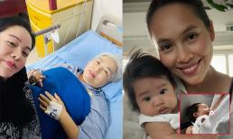Sao Việt 6/8: Mẹ Nhật Kim Anh nhập viện; Á hậu Hoàng My đăng ảnh cho con bú trên máy bay 