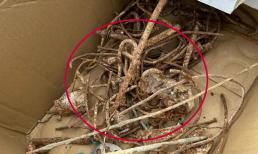 Nếu bạn gặp phải 5 thứ này trên đường, hãy nhớ đừng nhặt chúng lên. Một số trong chúng sẽ 'mang hoạ' cho bạn