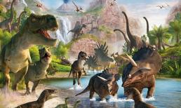 Có phải tất cả khủng long đều tuyệt chủng? Các nhà khoa học cho rằng, con cháu của khủng long còn tồn tại với số lượng lớn ngày nay