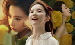 Lưu Diệc Phi chứng minh vị thế hàng đầu trong dàn Hoa đán 85 đình đám Cbiz