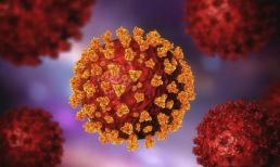 Virus Covid-19 quay trở lại? Lời nhắc dành cho “người thành công”: Không nhất thiết là sốt, có 4 thay đổi về thể trạng 