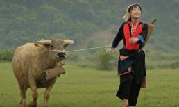 Địa điểm đẹp như tranh trong 'Đi giữa trời rực rỡ' hóa ra chỉ cách Hà Nội gần 300km, đừng bỏ lỡ