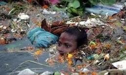 Có rất nhiều thứ này ở sông Hằng ở Ấn Độ. Trẻ em đánh bắt chúng hàng ngày, có thể nuôi sống cả gia đình.