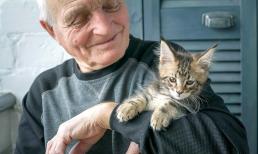 Người già rồi, học hỏi 'trí tuệ của mèo', để có một cuộc sống sáng suốt hơn