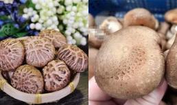 Khi mua nấm hương: nấm trơn hay nấm có kẽ hở thì tốt hơn? Lão nông trồng rau: Sự khác biệt khá lớn, tôi khuyên bạn nên tìm hiểu kỹ trước khi mua
