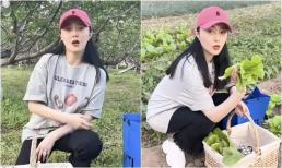 Phạm Băng Băng chán nản đến mức về quê sống? Hoàn toàn biến thành người bình thường, không còn váy đẹp sang trọng nhưng vẫn toát lên vẻ cao cấp 