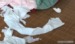 Tại sao không được đặt giấy vệ sinh cạnh giường? Có nhiều lý do có thể khiến bạn ngạc nhiên!