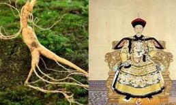 Chỉ có ăn nhân sâm như Càn Long mới có thể sống thọ lâu hơn! 