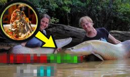 Tại sao các nước châu Âu và châu Mỹ không ăn cá nước ngọt? 