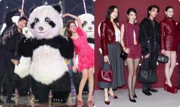 Chi Pu trả lời phỏng vấn nhà đài Trung Quốc, nói một điều được công chúng khen ngợi