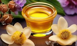 Uống mật ong có tốt cho người có sức đề kháng kém? Uống nước mật ong có thể cải thiện khả năng miễn dịch của con người?