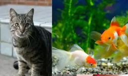 Phong Thủy: 4 dấu hiệu sau cho thấy trong nhà có tà khí sẽ ảnh hưởng đến vận khí của gia đình!