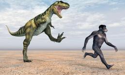 Khủng long đã không tiến hóa trí tuệ trong hàng trăm triệu năm. Tại sao con người chỉ tiến hóa trí tuệ trong hàng triệu năm?
